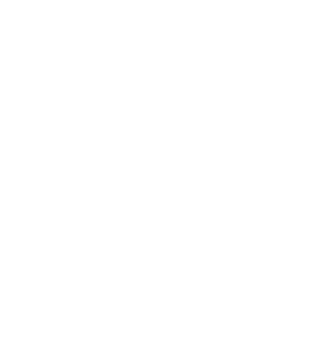 Vector-12